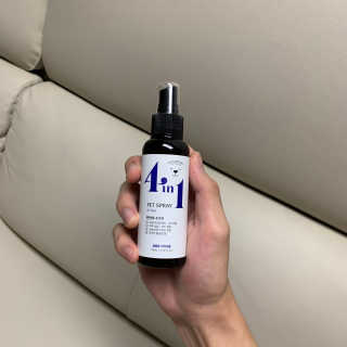 강아지스토리 포인원 모이스처 미스트 100ml — 5점을 준 리뷰어가 2020년 6월 올린 사용 사진