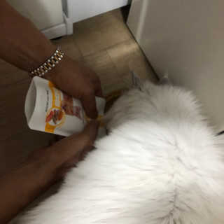 이수빈님이 올린 리뷰 사진 2