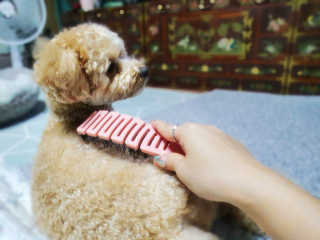 ve_randa님이 올린 리뷰 사진 3