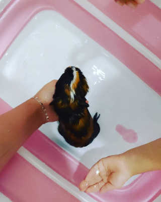 릴리님이 올린 리뷰 사진 4