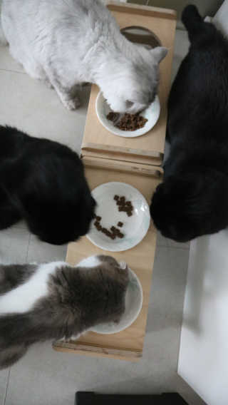 필쏘굿님이 올린 리뷰 사진 3