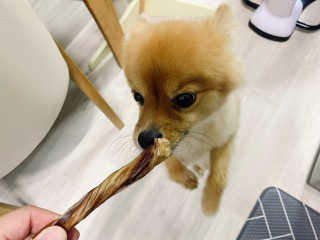 이대현님이 올린 리뷰 사진 2