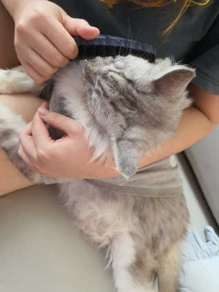 Jane Ng님이 올린 리뷰 사진 1