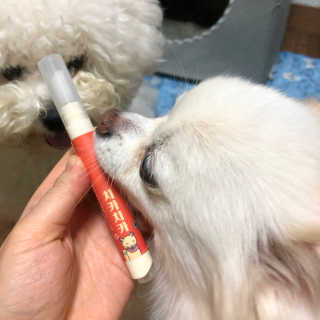 더펫원츠 [5초양치] 멍.치카펜 or 냥.치카펜 or 치카오일펜 — 4점을 준 리뷰어가 2020년 5월 올린 사용 사진