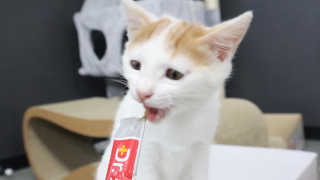 오들희님이 올린 리뷰 사진 4
