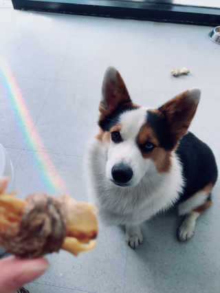 글라라5205님이 올린 리뷰 사진 1