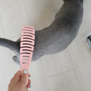 여온님이 올린 리뷰 사진 2