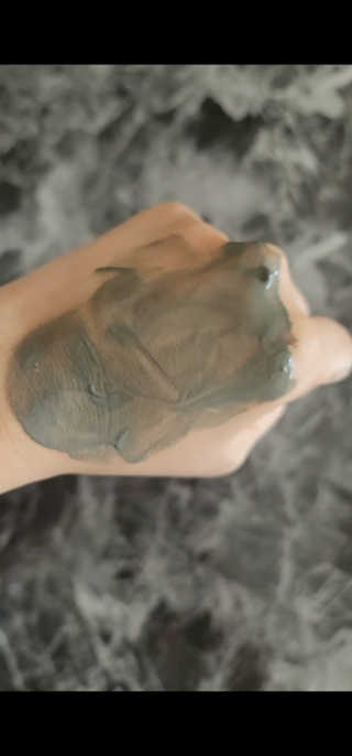 도엽럽님이 올린 리뷰 사진 1