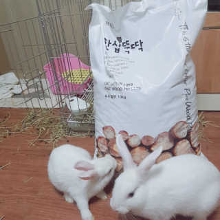 지니야님이 올린 리뷰 사진 2