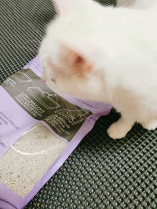 겟플렉스 켓플렉스 캣츠룸BS-1 고양이모래 4kg — 5점을 준 리뷰어가 2020년 12월 올린 사용 사진