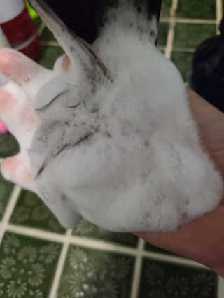 우성이맘님이 올린 리뷰 사진 3