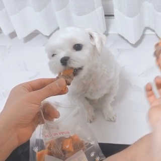 해피팡팡 고구마닭말이+고구마오리말이 [고구마간식2종] — 1점을 준 리뷰어가 2020년 4월 올린 사용 사진