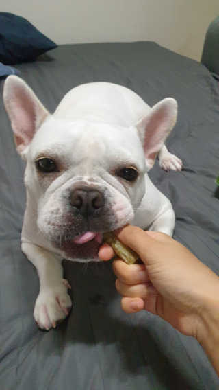 쿵탄님이 올린 리뷰 사진 3