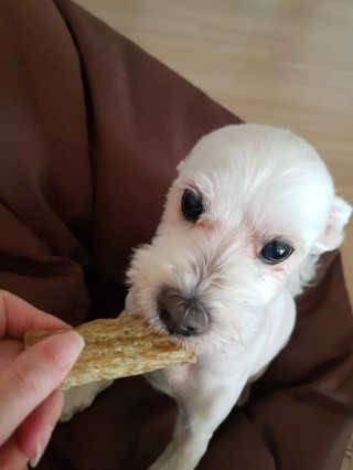 곽현정님이 올린 리뷰 사진 1