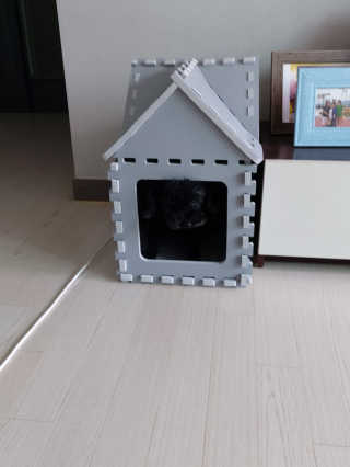 몽이님이 올린 리뷰 사진 4