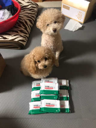 모모맘님이 올린 리뷰 사진 1