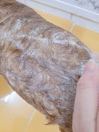 제라늄님이 올린 리뷰 사진 4