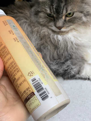시묘님이 올린 리뷰 사진 3
