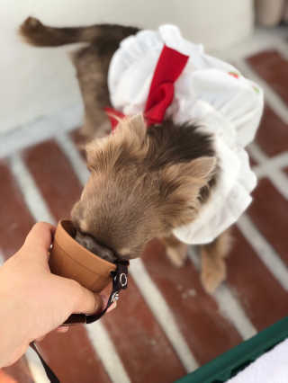 도토밤님이 올린 리뷰 사진 4