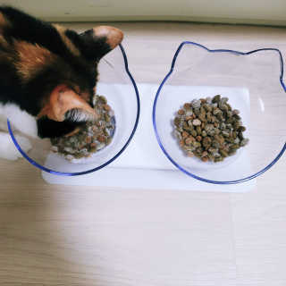 주님이 올린 리뷰 사진 4