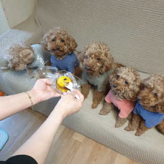 보라써니님이 올린 리뷰 사진 3