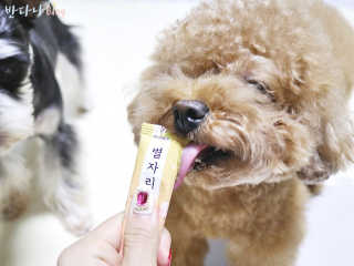 최정임님이 올린 리뷰 사진 3