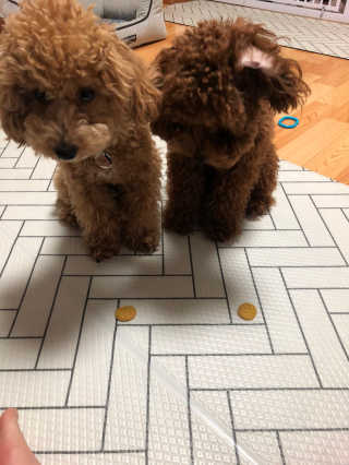 향이꾸님이 올린 리뷰 사진 2