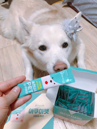 펫시랩 반려견용 액상 프리바이오틱스 아쿠아펫 — 5점을 준 리뷰어가 2020년 12월 올린 사용 사진