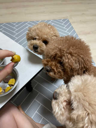 숙블리님이 올린 리뷰 사진 1