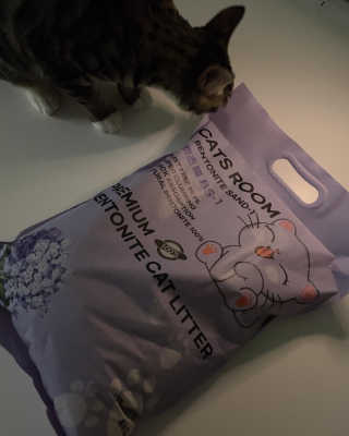 겟플렉스 켓플렉스 캣츠룸BS-1 고양이모래 4kg — 5점을 준 리뷰어가 2020년 12월 올린 사용 사진