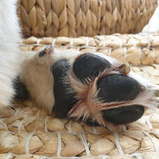 리아님이 올린 리뷰 사진 4