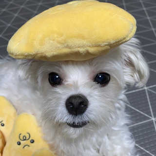 당근님이 올린 리뷰 사진 3
