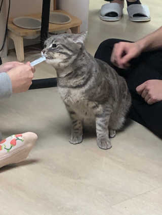 DaonKim님이 올린 리뷰 사진 3