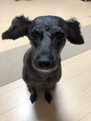 나오니님이 올린 리뷰 사진 3