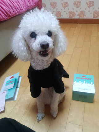 채시아님이 올린 리뷰 사진 2