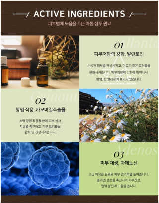 USANA전경미님이 올린 리뷰 사진 3