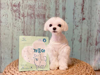 My Pet Care 천연단백질 눈건강에 개좋아 — 4.5점을 준 리뷰어가 2020년 11월 올린 사용 사진