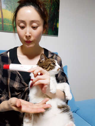[자유펫] 시코니딘 고양이 강아지 피부 보습 연고 20g — 4점을 준 리뷰어가 2020년 7월 올린 사용 사진
