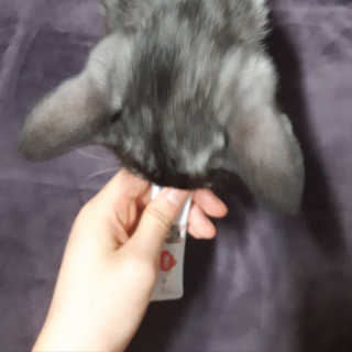 수란님이 올린 리뷰 사진 3