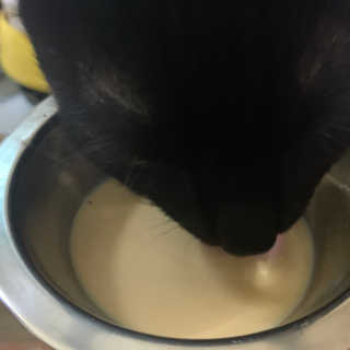 수린님이 올린 리뷰 사진 3