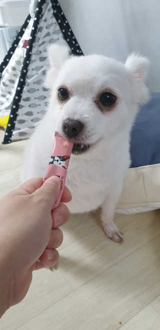 지혴님이 올린 리뷰 사진 3