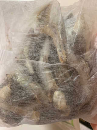 [풀무원] 자연의 감칠맛 통디포리, 통멸치 다시팩 세트 — 5점을 준 리뷰어가 2020년 5월 올린 사용 사진