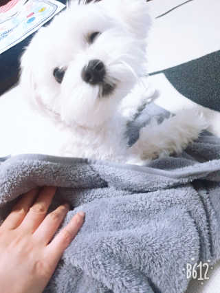바이에이미님이 올린 리뷰 사진 3
