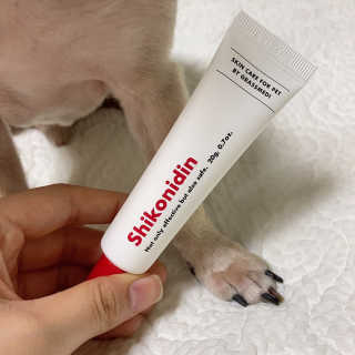[자유펫] 시코니딘 고양이 강아지 피부 보습 연고 20g — 5점을 준 리뷰어가 2020년 7월 올린 사용 사진