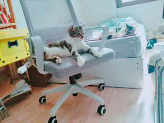 협찬ㄱㄱㅎ님이 올린 리뷰 사진 2