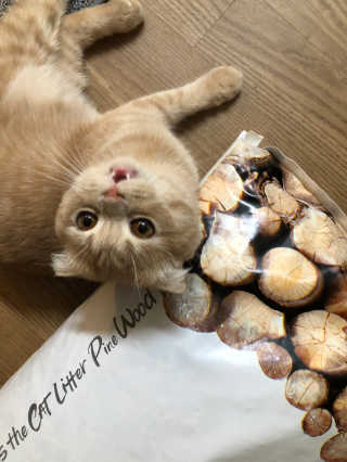 flowerblooming님이 올린 리뷰 사진 3