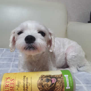 뱅님이 올린 리뷰 사진 4