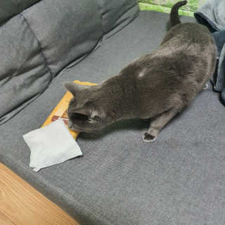 ani님이 올린 리뷰 사진 2