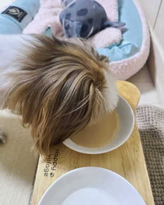 행복이갱이님이 올린 리뷰 사진 1