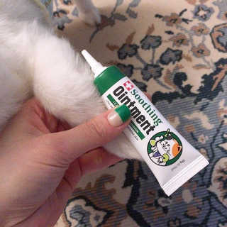 백설님이 올린 리뷰 사진 3
